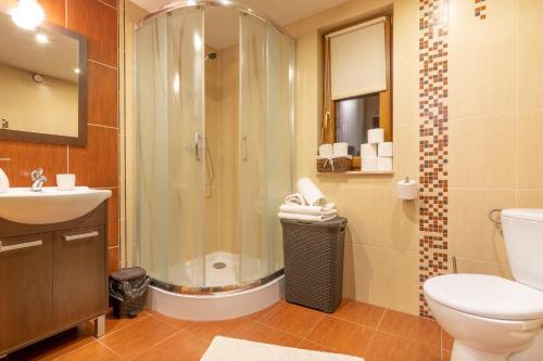 a bathroom with a shower and a toilet and a sink at Chaty Anety Domki Całoroczne in Solina
