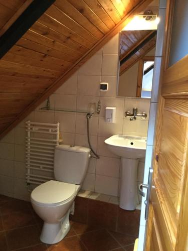 a bathroom with a toilet and a sink at Libra in Mikołajki
