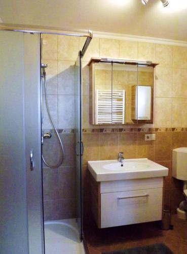 a bathroom with a shower and a sink at Vad-Virág Vendégház in Fertőrákos