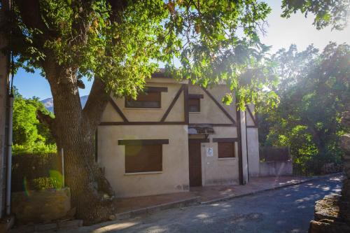 a house with a tree next to a street at El Roble Mocho in Villanueva de Ávila