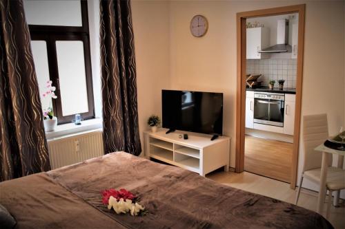 a bedroom with a bed and a tv and a kitchen at SALZHAUSBLICK BUSINESS APARTMENTS - Zentrale Lage am Salzhaus - MwSt-Rechnung verfügbar in Zittau
