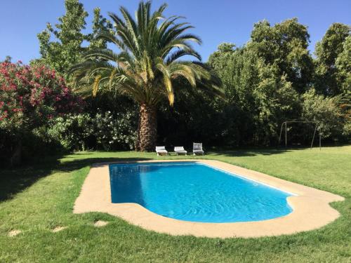 洛斯安第斯的住宿－Cabañas Terra Pocuro，一个带两把椅子和一棵棕榈树的庭院内的游泳池