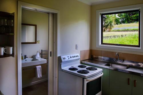 a kitchen with a stove and a sink and a window at Greenacres Alpine Chalets & Villas in Hanmer Springs