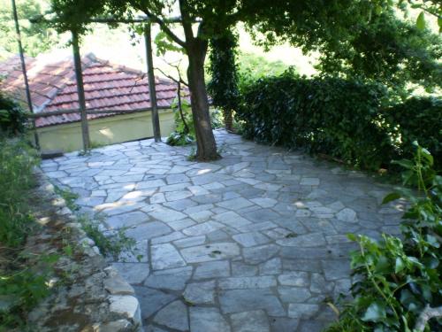 a stone walkway with a tree on top of it at DE KIRIKO in Miléai