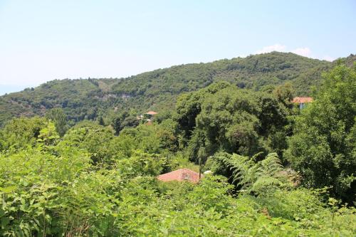 a mountain covered in trees with a house in the distance at DE KIRIKO in Miléai