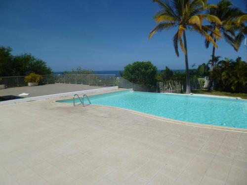 una piscina con una palmera y el océano en Studio Bleu Safran, en Saint-Gilles-les-Bains