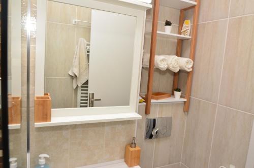 a bathroom with a shower with a mirror and a sink at Aparthotel Danube in Galaţi