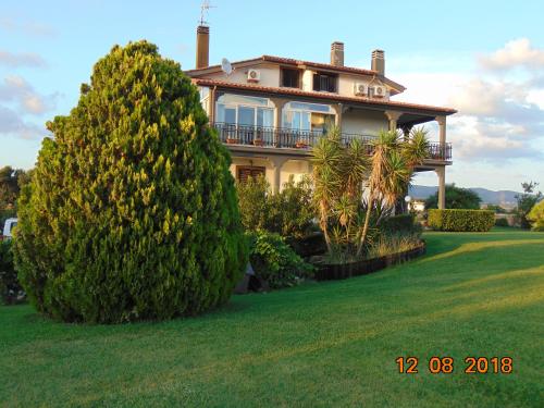 a large house on a lawn with two trees at La Mia Casa per Tutti in Cerveteri