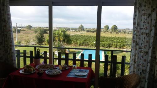 a table with a view of a vineyard from a window at La Mia Casa per Tutti in Cerveteri