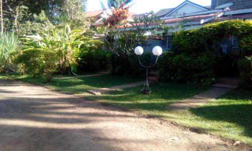 Jardín al aire libre en East of Eden