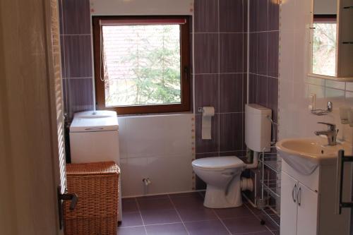 uma casa de banho com um WC, um lavatório e uma janela em Holiday Guest House em Odorheiu Secuiesc