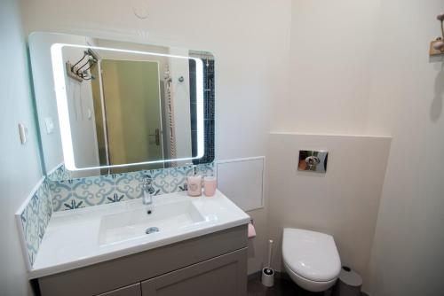 a bathroom with a sink and a toilet and a mirror at " Mademoiselle " 17 Boulevard du Champ de Mars in Colmar