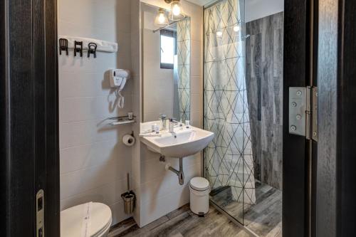 a bathroom with a sink and a toilet and a shower at Pensiune Pavo in Piteşti