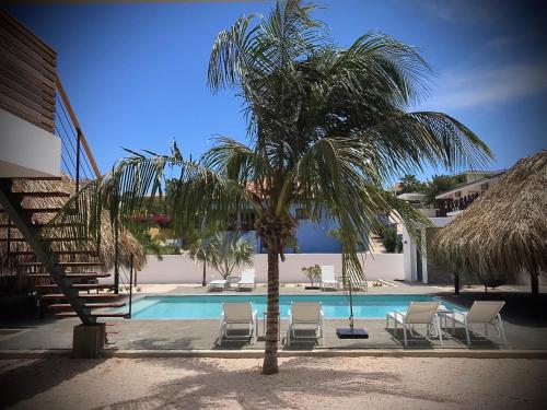 a palm tree and chairs and a swimming pool at La Vista Luxury Apartment Jan Thiel in Jan Thiel