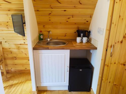 a small kitchen with a sink in a tiny house at Colemans Cottage Fishery in Wickham Bishops