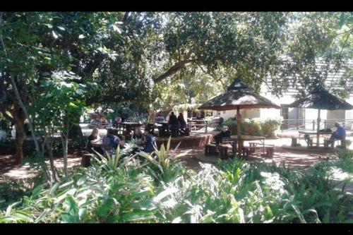 un grupo de personas sentadas en un parque bajo los árboles en Cock & Bull Restaurant - Pub - Accommodation en Hartbeespoort