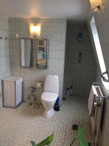 a bathroom with a toilet and a sink at Guest rooms harbor view in Copenhagen