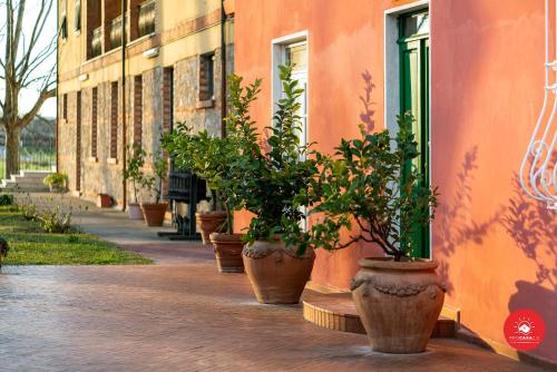 a row of potted plants on the side of a building at Fattoria Battilana in Marina di Carrara