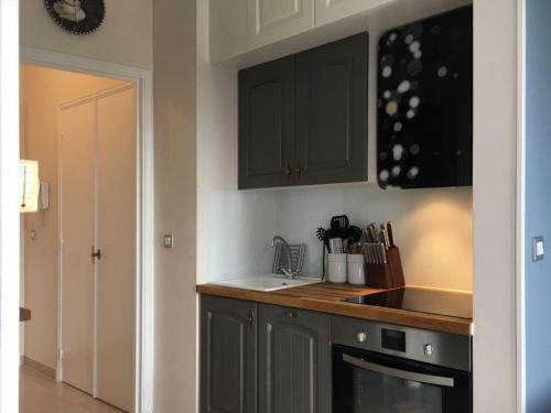 - une cuisine avec des placards noirs et un évier dans l'établissement Belle Epoque Studio, à Nice