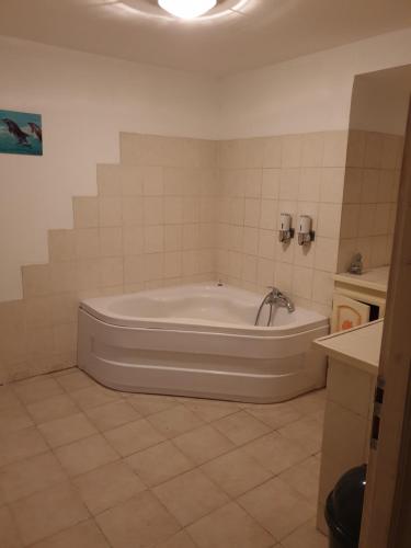 a bathroom with a bath tub in a room at LE GÎTE LA BLAQUIÉRE in Cendras
