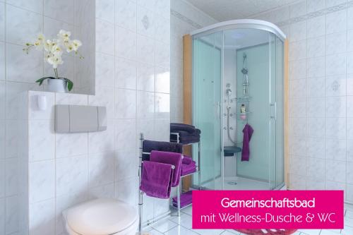 Ferienwohnung Agerblick 3 Zimmer mit Küche, 83m2 في Lenzing: حمام مع مرحاض ودش مع مناشف أرجوانية