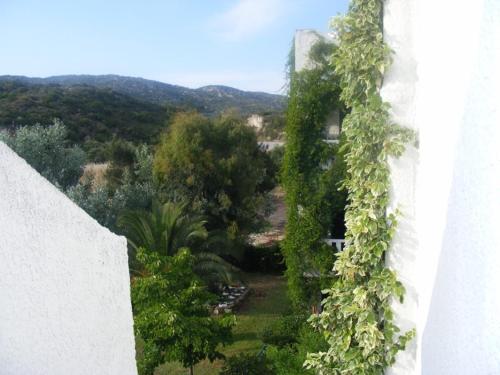 an ivy covered building with a view of a garden at Kalamitsi Studios in Kalamitsi
