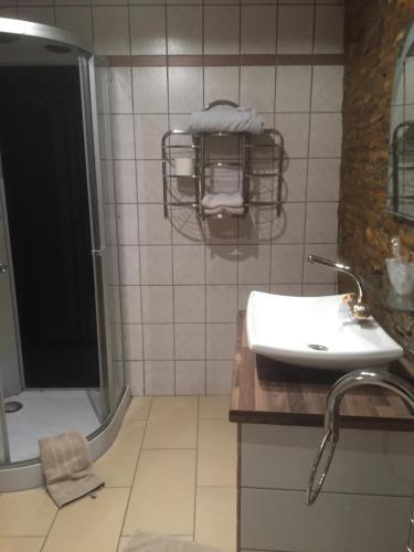 a bathroom with a sink and a shower at Weinschlößchen im Weingut Roos in Ilbesheim
