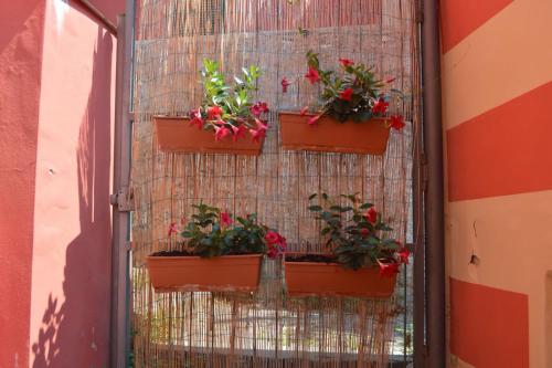 um grupo de vasos de plantas numa parede em Il Posto dell’Origano em La Spezia