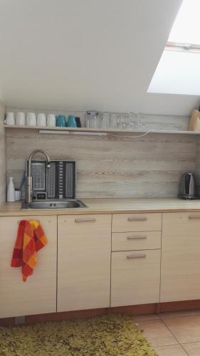 Una cocina o zona de cocina en Ubytování v soukromí Opolany u Poděbrad