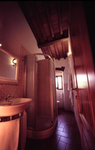 a bathroom with a shower and a sink at B&B Eridu in Fiesole
