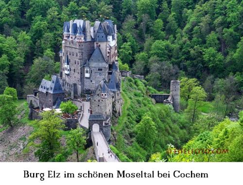 an old castle in the middle of a forest at Ferienwohnung Gross B in Schleiden