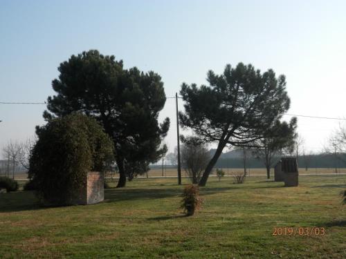 un champ avec deux arbres et un poteau téléphonique dans l'établissement Locanda Corte Arcangeli, à Ferrare