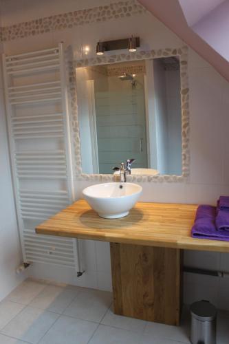 a bathroom with a sink and a mirror at Domaine de Praline l'ensemble in Villerbon