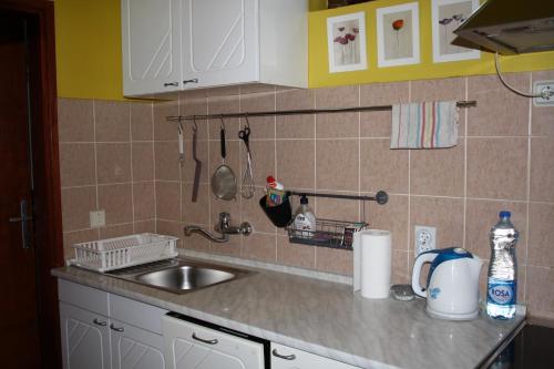 a kitchen with a sink and a counter top at Fedra Apartment in Zrenjanin