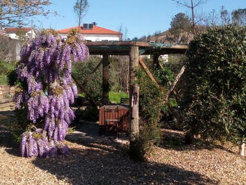 Κήπος έξω από το Casa Gaia