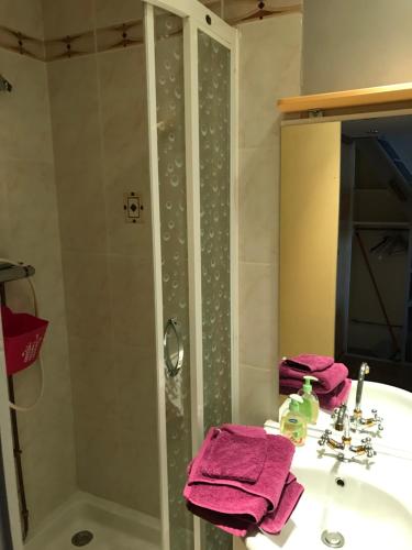 ein Badezimmer mit einem Waschbecken und einer Dusche mit rosa Handtüchern in der Unterkunft Studio des alpes in La Mure