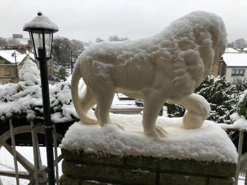 Castle Walk Bed & Breakfast durante l'inverno
