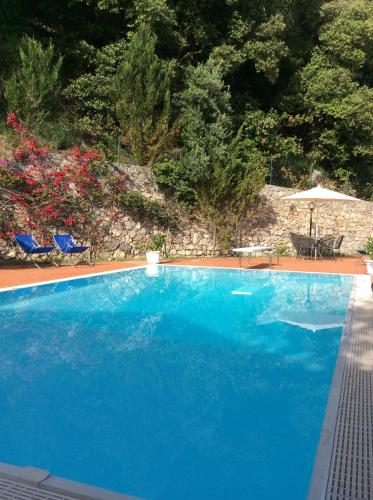 a large blue swimming pool with chairs and an umbrella at Il Casalino in Maratea