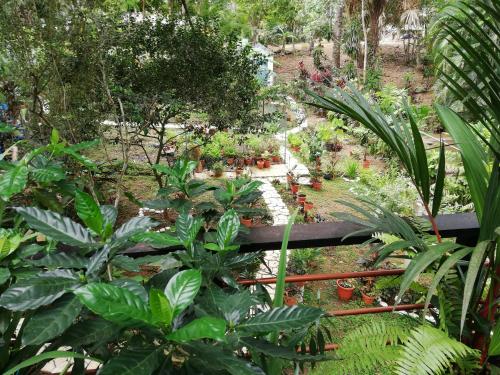 a garden with green plants and a waterfall at Casa completa en Gamboa, Canal de Panamá in Gamboa