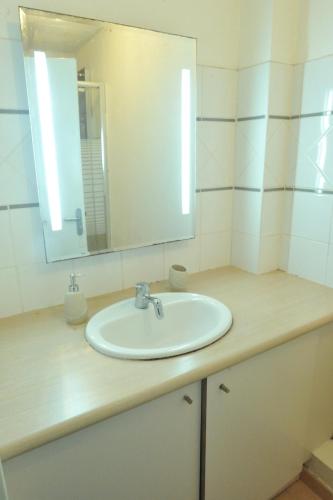 a bathroom with a white sink and a mirror at Les Héliconias Résidence cosy et calme in Les Abymes