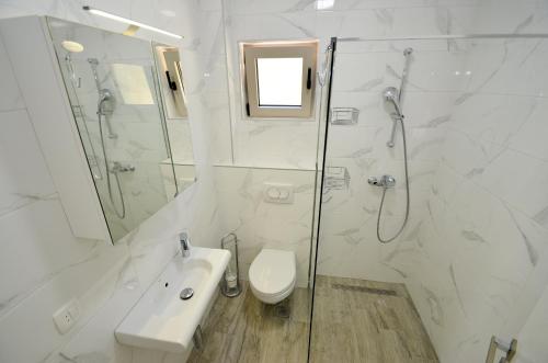 a bathroom with a shower and a toilet and a sink at Casa del Sole Lux in Kotor