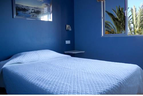 a blue bedroom with a bed and a window at Apartamentos Concha in Valle Gran Rey