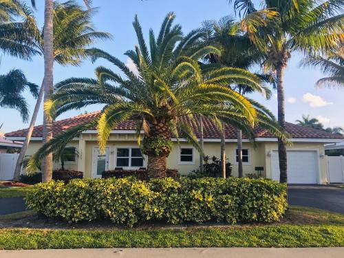 Tropical Paradise – Photos 3