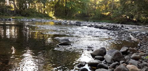 a river with some rocks in the water at Paraíso Liumalla Lodge in Villarrica