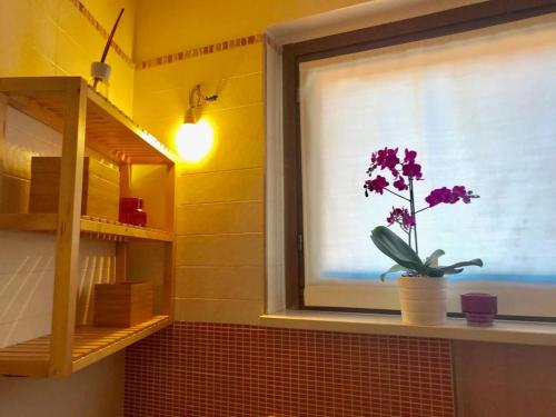 a window with a potted plant sitting on a window sill at CASA MADDALENA in Lierna