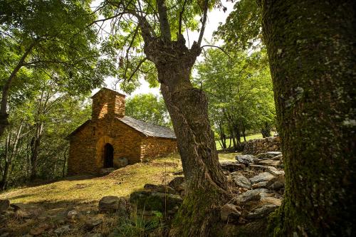 an old stone building in the middle of a forest at Hotel Restaurant Les Brases in Sort