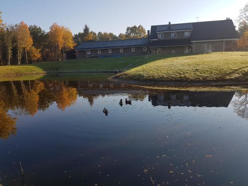 two ducks swimming in a pond in front of a building at Villa Cheval in Aukštadvaris