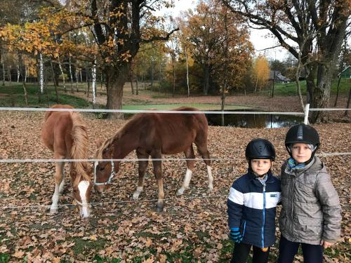 two children wearing helmets standing in front of a horse at Villa Cheval in Aukštadvaris
