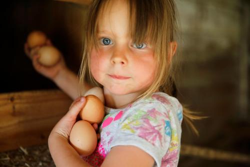 a little girl holding three eggs in her arms at Familienbauernhof Glawischnig-Hofer in Gmünd in Kärnten