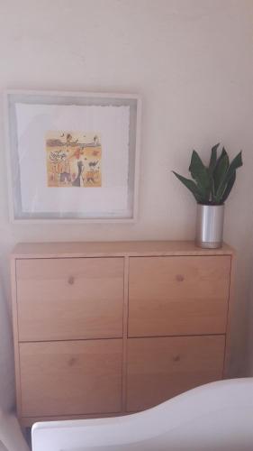 a dresser with a potted plant on top of it at L´Aveneau in Le Retail
